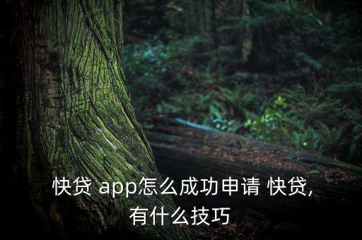 快貸app怎么樣,橙橙快貸可靠!3.貸款服務(wù)低至0.6%