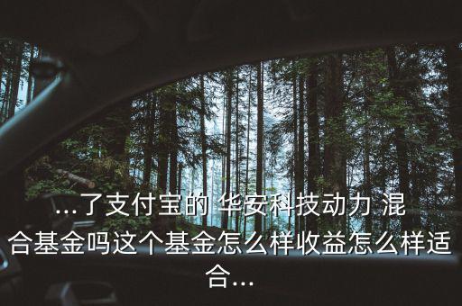 ...了支付寶的 華安科技動力 混合基金嗎這個基金怎么樣收益怎么樣適合...