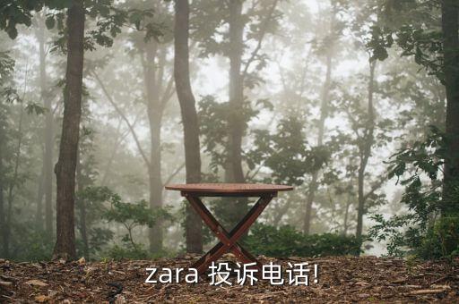 怎么投訴zara,買不到貨!網(wǎng)紅教你如何自我保護(hù)