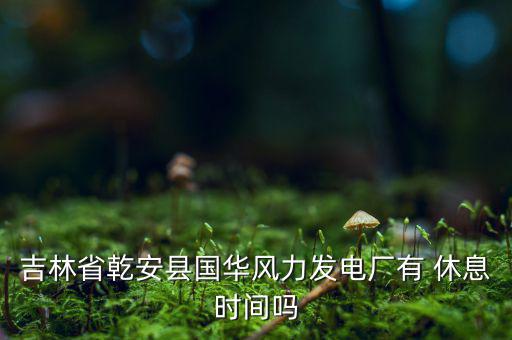 吉林省乾安縣國華風(fēng)力發(fā)電廠有 休息時間嗎