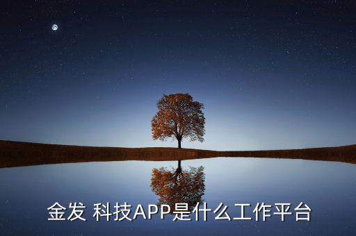  金發(fā) 科技APP是什么工作平臺