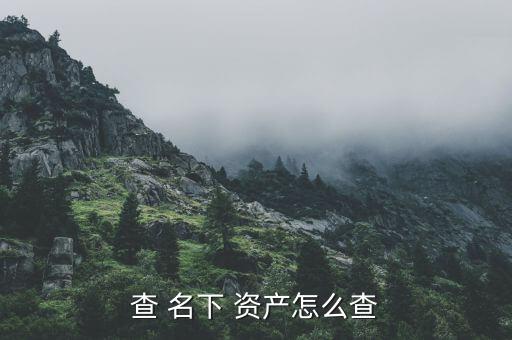 查 名下 資產怎么查