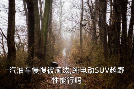 汽油車慢慢被淘汰,純電動(dòng)SUV越野性能行嗎