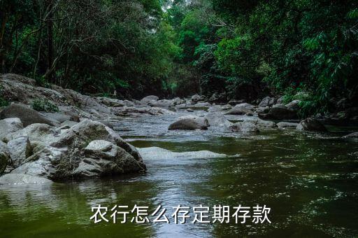  農(nóng)行怎么存定期存款