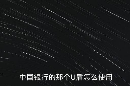  中國銀行的那個U盾怎么使用