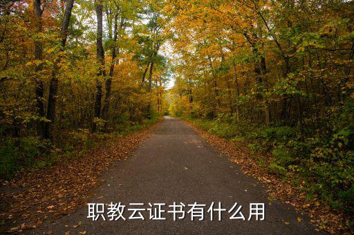 職教云證書(shū)有什么用