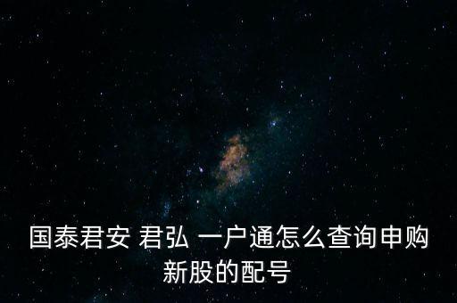 國泰君安 君弘 一戶通怎么查詢申購新股的配號(hào)