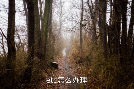 etc怎么辦理