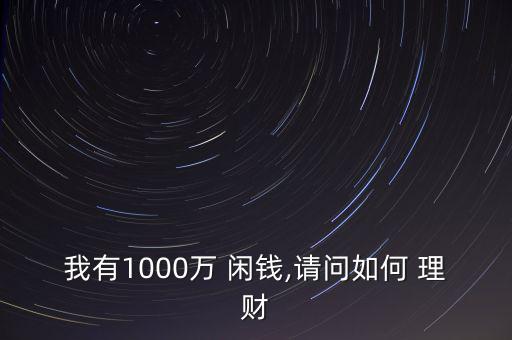 我有1000萬 閑錢,請問如何 理財(cái)