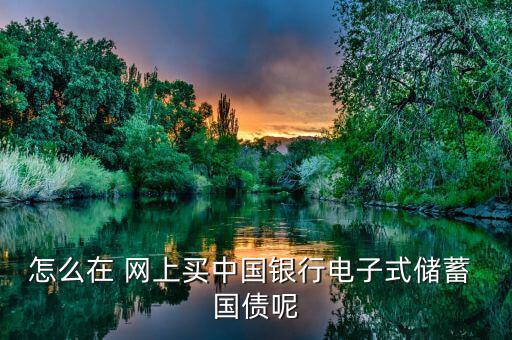 怎么在 網(wǎng)上買中國(guó)銀行電子式儲(chǔ)蓄 國(guó)債呢