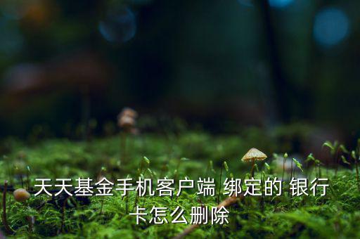 天天盈怎么修改綁定銀行卡,理財(cái)新規(guī)則