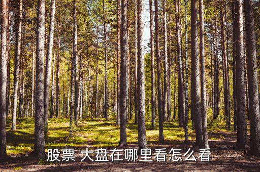 炒股軟件怎么看大盤,免費軟件新版免注冊