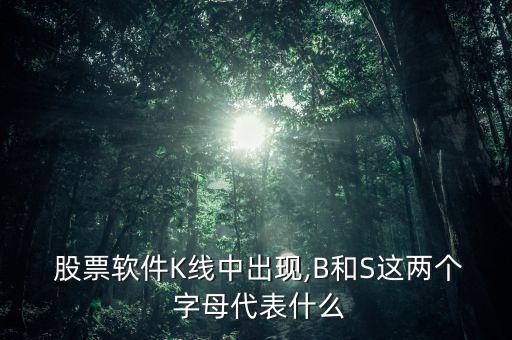  股票軟件K線中出現(xiàn),B和S這兩個(gè) 字母代表什么