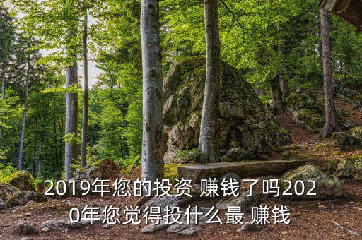 2019年您的投資 賺錢了嗎2020年您覺得投什么最 賺錢