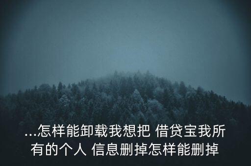 借貸寶怎么刪除個人信息,系統(tǒng)如何容納個人信息?