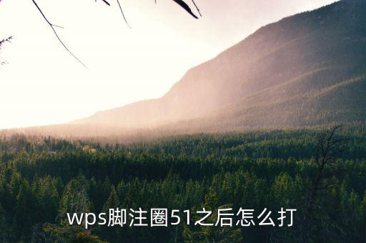 wps腳注圈51之后怎么打