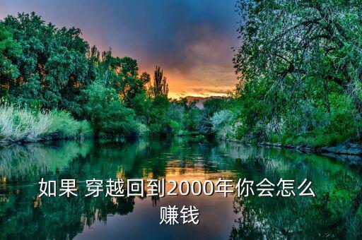 如果 穿越回到2000年你會(huì)怎么 賺錢(qián)