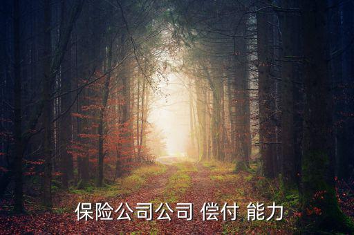  保險(xiǎn)公司公司 償付 能力