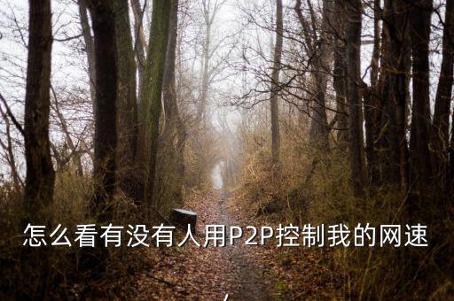 怎么看誰在用p2p,防火墻記錄會顯示是誰攻擊了電腦