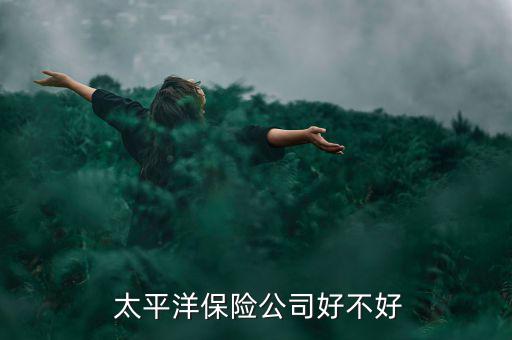 做太平洋保險怎么樣,中國太平洋保險集團有限公司在美國投資