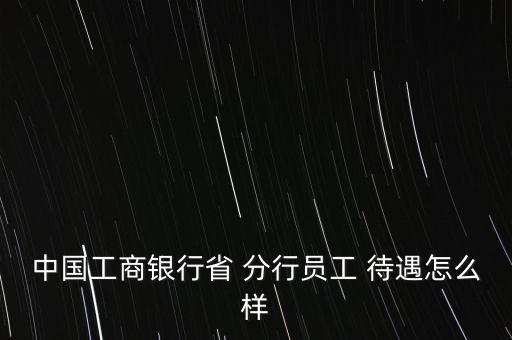 中國(guó)工商銀行省 分行員工 待遇怎么樣