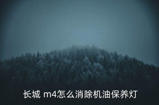  長城 m4怎么消除機(jī)油保養(yǎng)燈