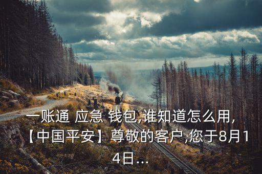 一賬通 應(yīng)急 錢包,誰知道怎么用,【中國(guó)平安】尊敬的客戶,您于8月14日...