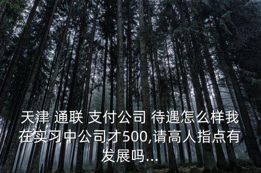 天津 通聯(lián) 支付公司 待遇怎么樣我在實習(xí)中公司才500,請高人指點有發(fā)展嗎...