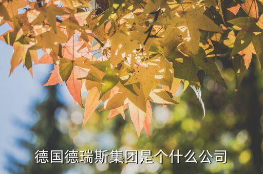 德國德瑞斯集團(tuán)是個(gè)什么公司