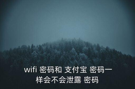  wifi 密碼和 支付寶 密碼一樣會不會泄露 密碼