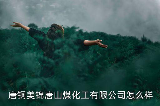  唐鋼美錦唐山煤化工有限公司怎么樣