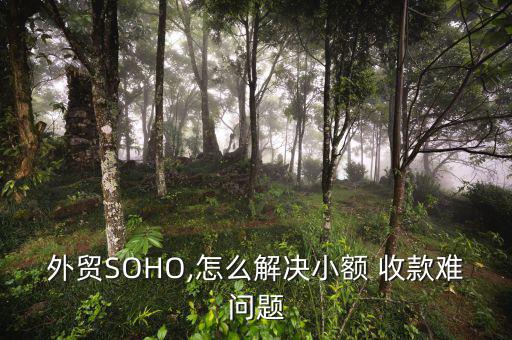 外貿(mào)SOHO,怎么解決小額 收款難問題