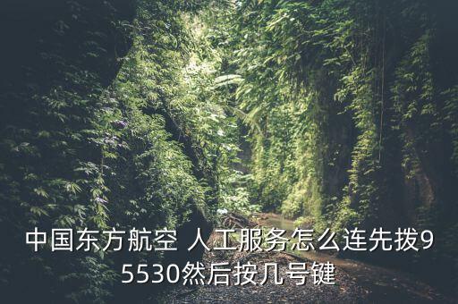 中國東方航空 人工服務(wù)怎么連先撥95530然后按幾號鍵