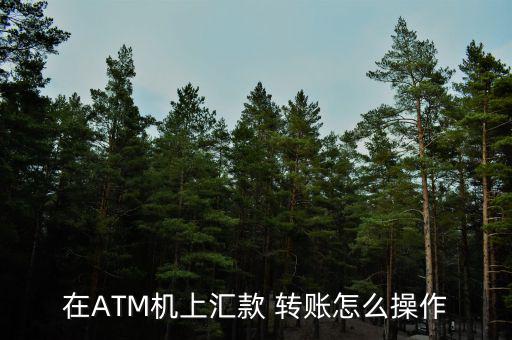 在ATM機上匯款 轉賬怎么操作