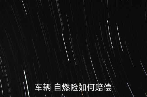 車輛 自燃險(xiǎn)如何賠償