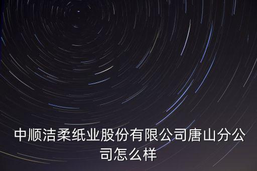  中順潔柔紙業(yè)股份有限公司唐山分公司怎么樣