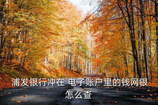 浦發(fā)電子現(xiàn)金怎么消費,浦發(fā)bank網(wǎng)銀服務(wù)如何進行?