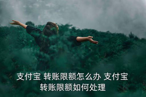 支付寶轉(zhuǎn)賬超額怎么辦,支付寶賬戶余額寶支付暫無(wú)支付限額