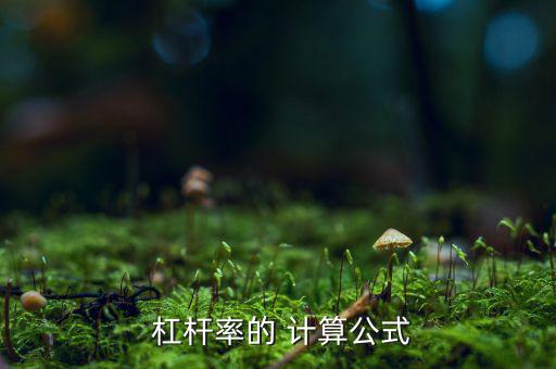  杠桿率的 計(jì)算公式