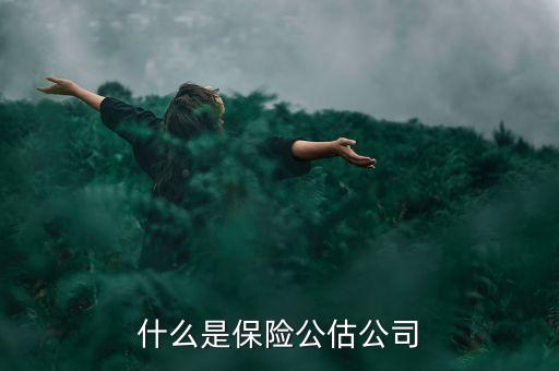 什么是承保公估，保險(xiǎn)中的公估是什么概念