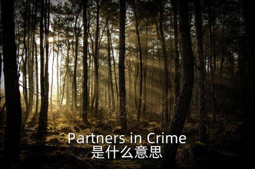 人工角膜是什么，Partners in Crime是什么意思