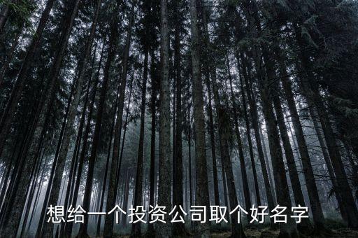 想給一個投資公司取個好名字