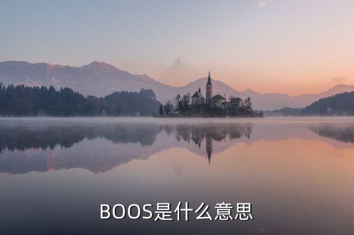 BOOS是什么意思