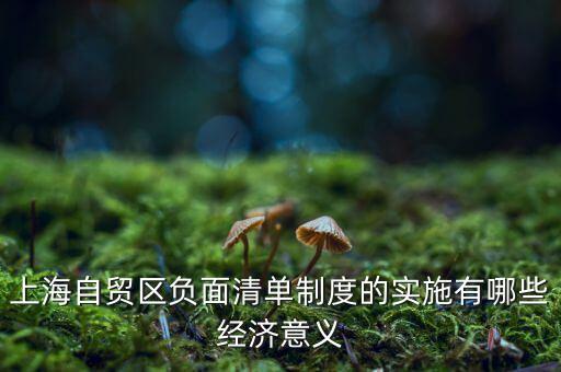 上海自貿(mào)區(qū)負面清單制度的實施有哪些經(jīng)濟意義