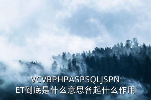 VCVBPHPASPSQLJSPNET到底是什么意思各起什么作用