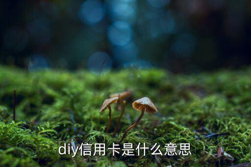 diy信用卡是什么意思，D1y信用卡是什么意思