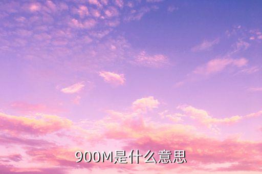 負(fù)債900m是什么意思，900m是什么意思