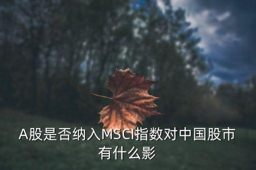 加入明晟指數(shù)有什么用，中國(guó)A股納入明晟會(huì)有什么影響