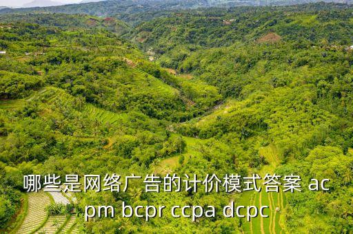 國家大力推廣什么計價模式，哪些是網絡廣告的計價模式答案 acpm bcpr ccpa dcpc