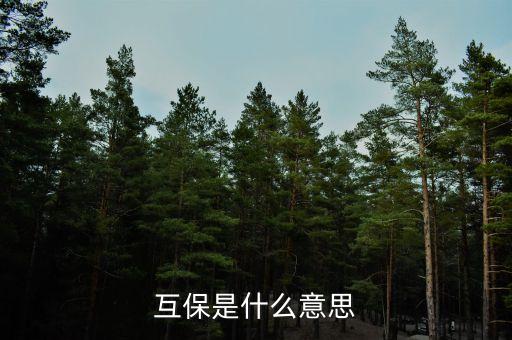 煤電互保什么意思，煤炭漲價對電力股是好是壞啊